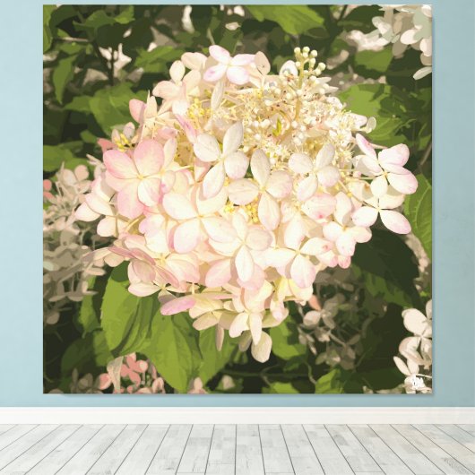Hydrangea - Blush - Canvas Print (Insitu (Houten vloer))