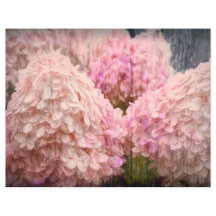 Hydrangea  Blush Pink Floral Wood Decoupage