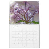 HYDRANGEA & BOSVARENS Agenda Cadeaus Kalender (Mar 2027)