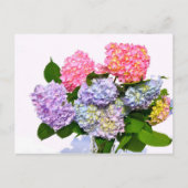 Hydrangea Bouquet Briefkaart (Voorkant)