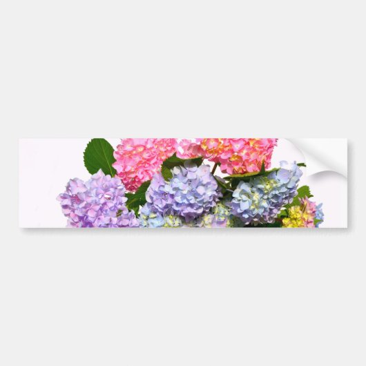 Hydrangea Bouquet Bumpersticker (Voorkant)
