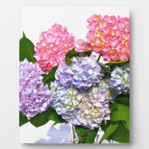 Hydrangea Bouquet Fotoplaat