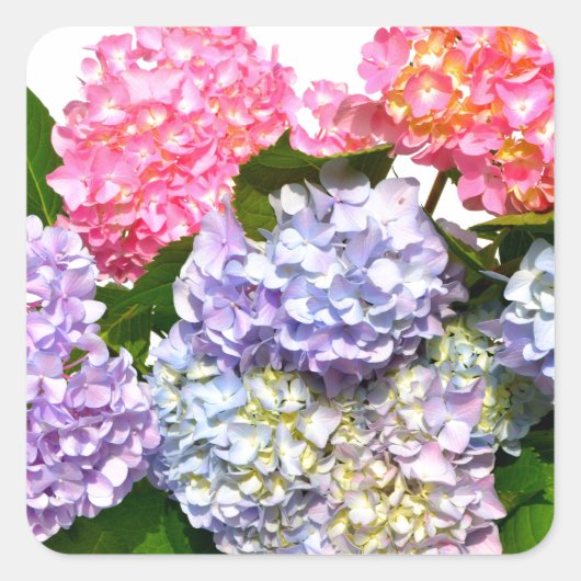 Hydrangea Bouquet Vierkante Sticker (Voorkant)