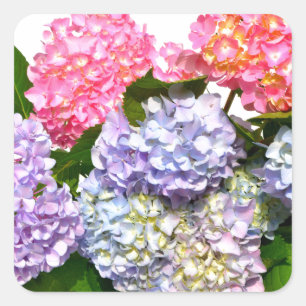 Hydrangea Bouquet Vierkante Sticker