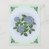 Hydrangea Briefkaart (Voorkant)