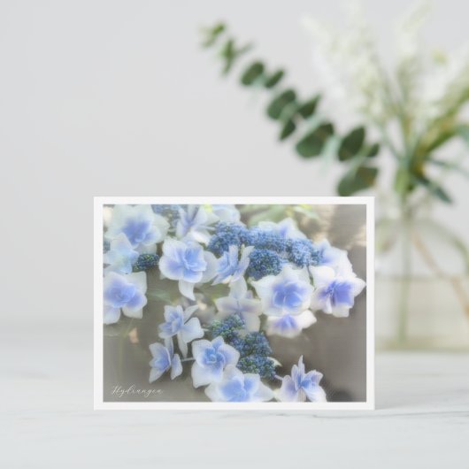 Hydrangea Briefkaart (Staand voorkant)