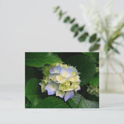 hydrangea briefkaart (Staand voorkant)