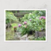 Hydrangea Briefkaart (Voorkant)