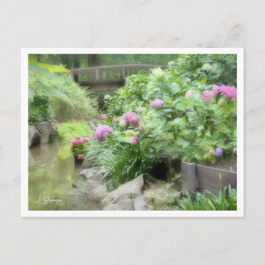 Hydrangea Briefkaart (Voorkant)