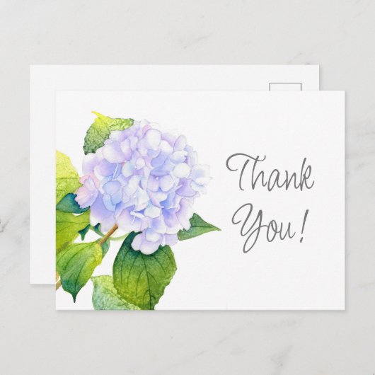 Hydrangea Briefkaart (Voorkant / Achterkant)