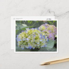 Hydrangea Briefkaart