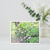 Hydrangea Briefkaart (Staand voorkant)