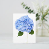 Hydrangea Briefkaart (Staand voorkant)