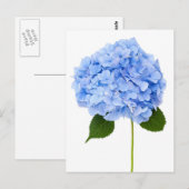 Hydrangea Briefkaart (Voorkant / Achterkant)