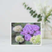 Hydrangea Briefkaart (Staand voorkant)