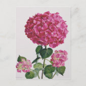 Hydrangea Briefkaart (Voorkant)
