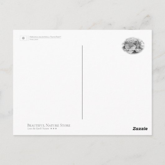 Hydrangea Briefkaart (Achterkant)