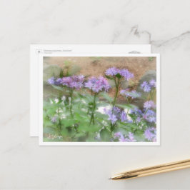Hydrangea Briefkaart