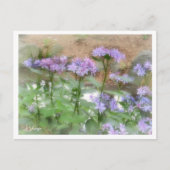 Hydrangea Briefkaart (Voorkant)