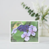 Hydrangea Briefkaart (Staand voorkant)