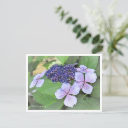 Hydrangea Briefkaart (Staand voorkant)