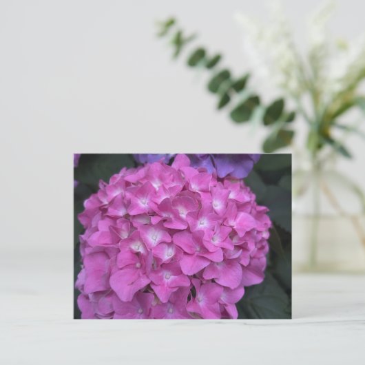 Hydrangea Briefkaart (Staand voorkant)