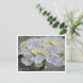 Hydrangea Briefkaart (Staand voorkant)