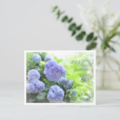 Hydrangea Briefkaart (Staand voorkant)