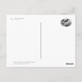 Hydrangea Briefkaart (Achterkant)