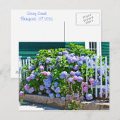 Hydrangea Briefkaart (Voorkant / Achterkant)