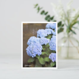 Hydrangea Briefkaart