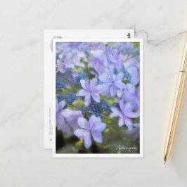 Hydrangea Briefkaart