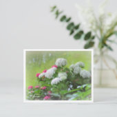 Hydrangea Briefkaart (Staand voorkant)
