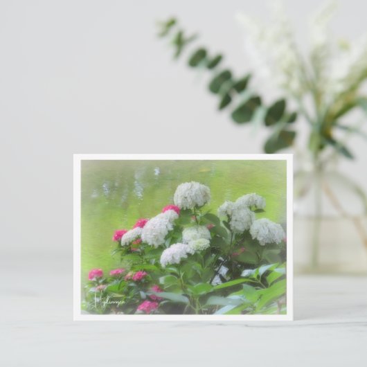 Hydrangea Briefkaart (Staand voorkant)