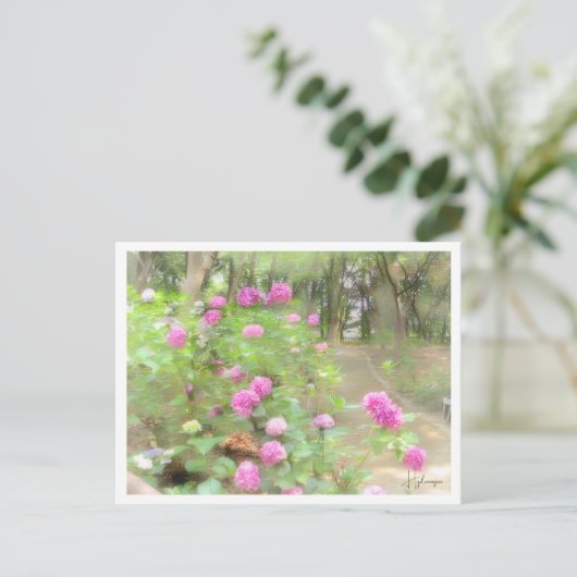 Hydrangea Briefkaart (Staand voorkant)