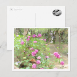 Hydrangea Briefkaart