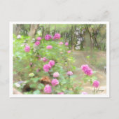 Hydrangea Briefkaart (Voorkant)