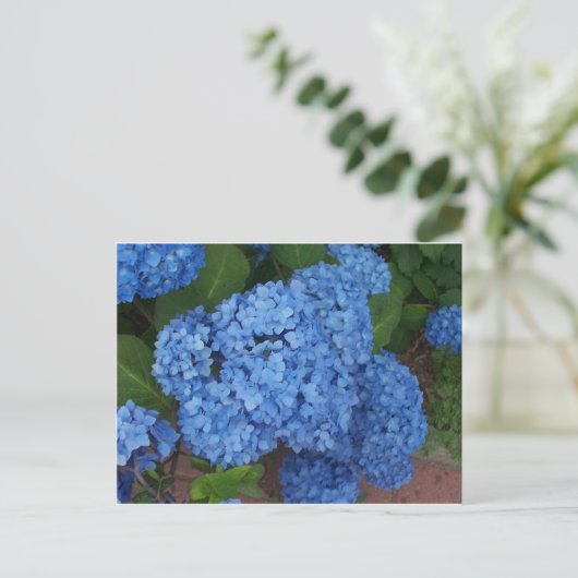 Hydrangea Briefkaart (Staand voorkant)