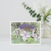 Hydrangea Briefkaart (Staand voorkant)