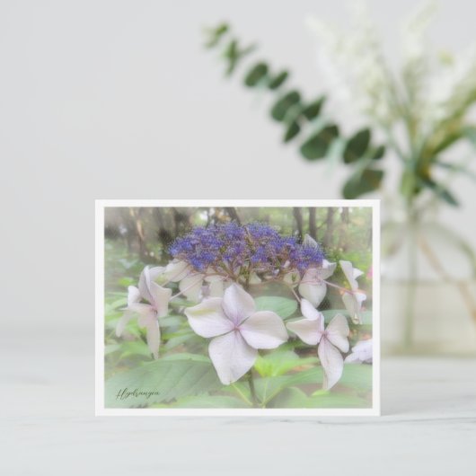 Hydrangea Briefkaart (Staand voorkant)