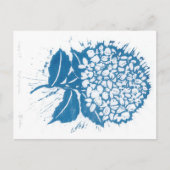 Hydrangea-briefkaart Briefkaart (Voorkant)