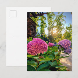 Hydrangea Briefkaart! Briefkaart