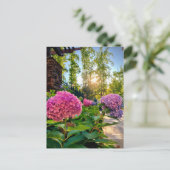 Hydrangea Briefkaart! Briefkaart (Staand voorkant)
