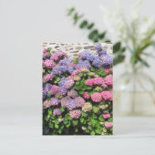 Hydrangea bush Postcard Briefkaart (Staand voorkant)