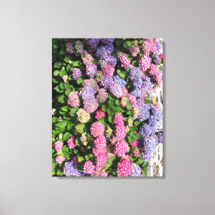 Hydrangea bush Toile Canvas Afdruk