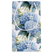 Hydrangea cadeautas (Achterkant)