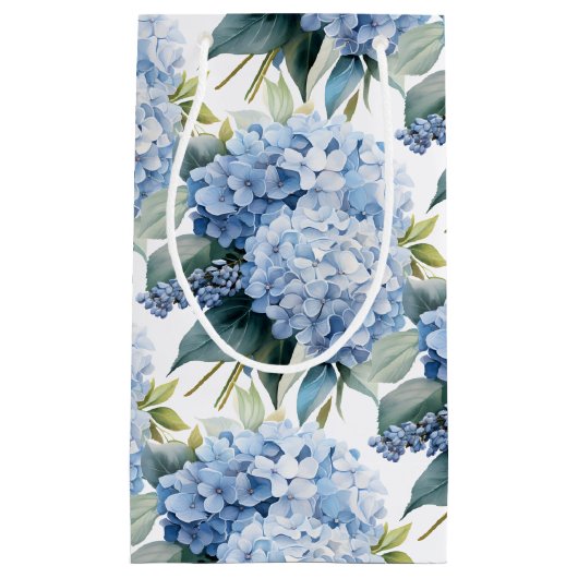 Hydrangea cadeautas (Voorkant)