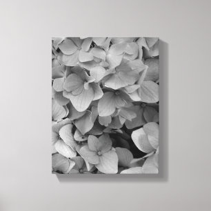 Hydrangea Canvas Afdruk