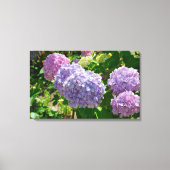 Hydrangea Canvas Afdrukken (Voorkant)