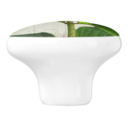 Hydrangea Ceramic Knob. Keramische Knop (Zijkant)